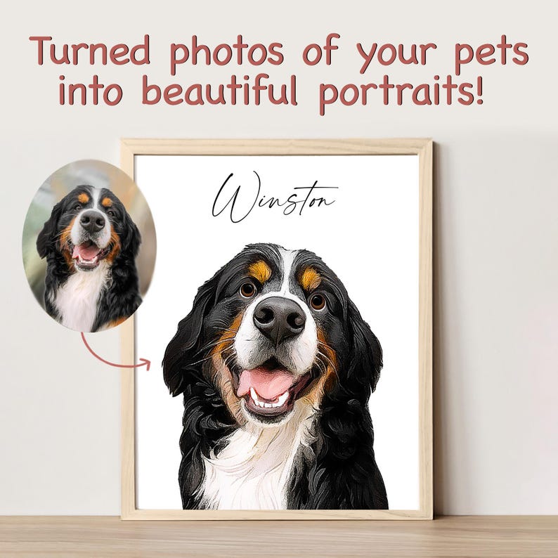 May include: A framed portrait of a Bernese Mountain Dog named Winston. The dog is smiling with its tongue out and has a white, black, and brown coat. The portrait is on a white background.