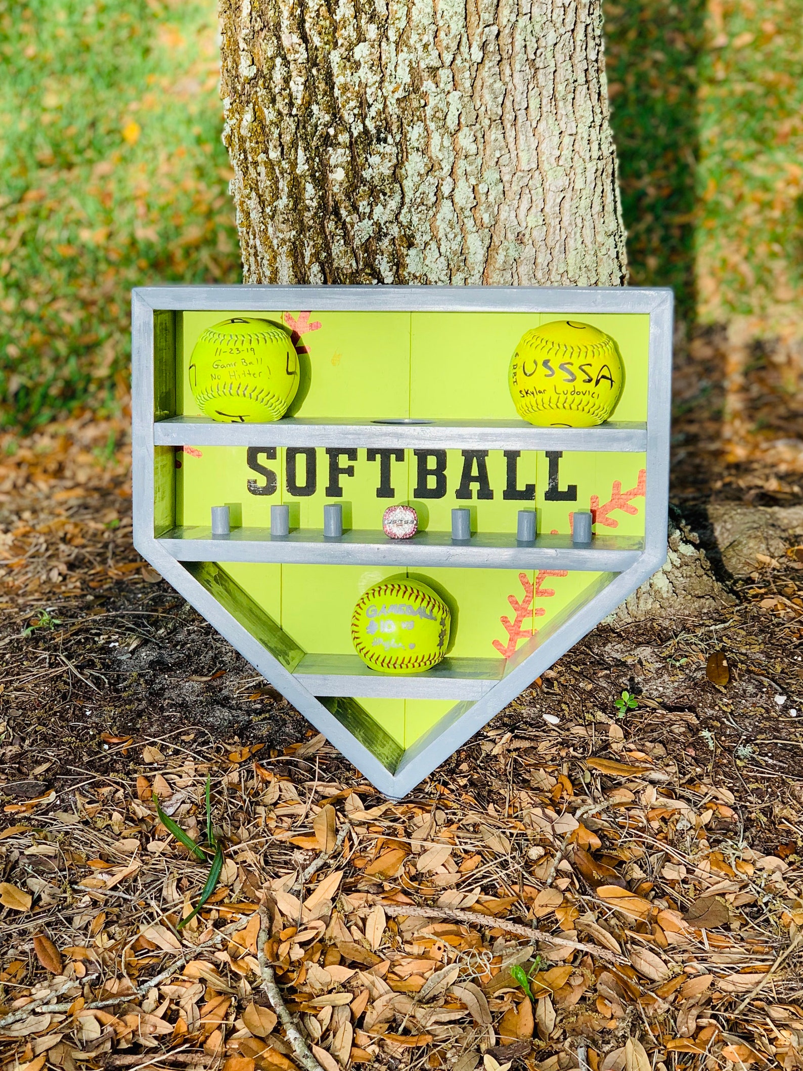 Softball/baseball championship ball and ring display shelf Etsy