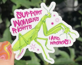 Può includere: Un adesivo di mantide religiosa verde con testo rosa che dice "Sostenere i diritti delle donne (e i torti)".