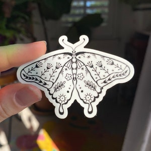 Peut inclure: Un autocollant blanc avec un dessin au trait noir d'un papillon avec des d&eacute;tails floraux. Le papillon a un corps stylis&eacute; avec de grandes ailes et un motif d&eacute;licat de fleurs et de feuilles.