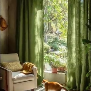 Könnte beinhalten: Ein sonnendurchfluteter Innenraum mit olivgrünen Vorhängen, die ein Fenster zu einem üppigen Garten einrahmen. Ein cremefarbener Sessel mit einem gelben Kissen und einer Decke steht in der Nähe des Fensters. Eine rot-weiße Katze geht über den Boden.
