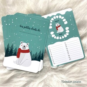 Carte dents bébé, carte "les petites dents de ...", carte polaire, bébé ours, animaux polaire, banquise, carte dents de lait