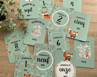 Cartes étapes bébé, cartes étapes naissance, cartes étapes mixte, souvenirs bébé, première année, carte étapes renard, naissance renard