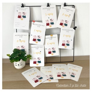Tarjetas de etapa para bebés, tarjetas para etapas de nacimiento, tarjetas de etapa mixtas, recuerdos para bebés, primer año, tarjetas para etapas para gatos