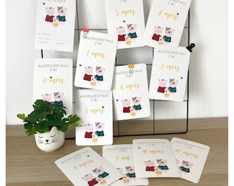 Cartes étapes bébé, cartes étapes naissance, cartes étapes mixte, souvenirs bébé, première année, carte étapes chat