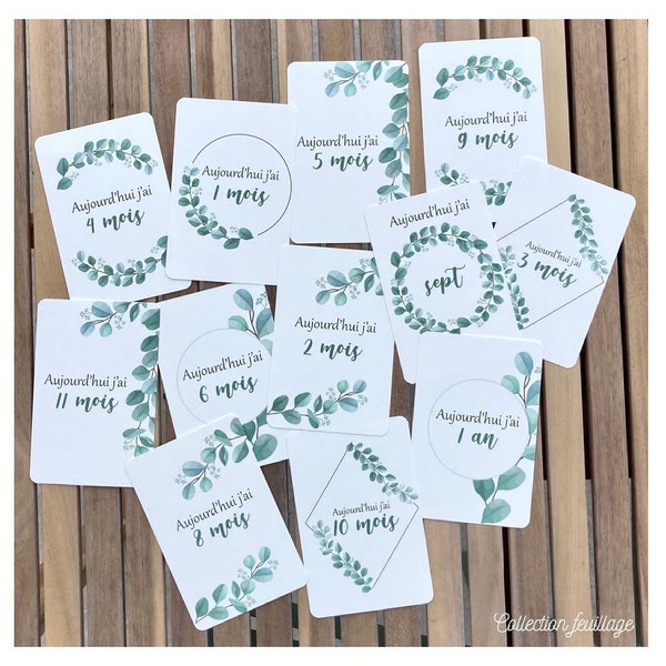 Cartes étapes bébé, cartes naissance, cartes étapes mixte, souvenirs bébé, première année, Feuillage, eucalyptus, végétal, nature, plante