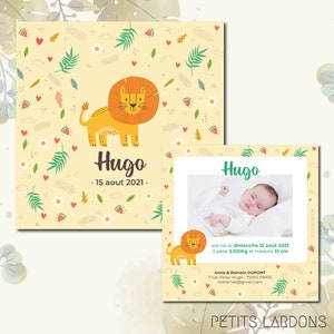 Lot of announcements, Birth announcements, Lion announcements, Mixed birth announcements, Soft colors announcements, lion, savannah, animals, safari
