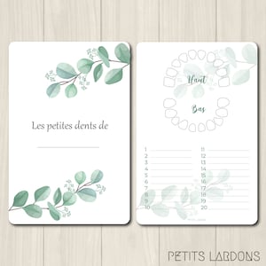 Carte dents bébé, carte "les petites dents de ...",  souvenirs bébé, feuillage, eucalyptus, végétal, nature, plante, carte dents de lait