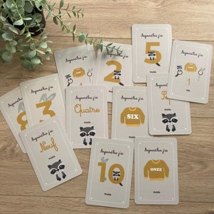 Cartões de marco de bebê, cartão de marco de nascimento, cartões de mês de aniversário, lembrança de bebê, primeiro ano, guaxinim, coelho, chocalho de coelho, brinquedo