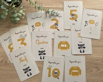 Cartes étapes bébé, carte étape naissance, cartes mois anniversaire, souvenir bébé, première année, raton laveur, lapin, Hochet lapin, jouet