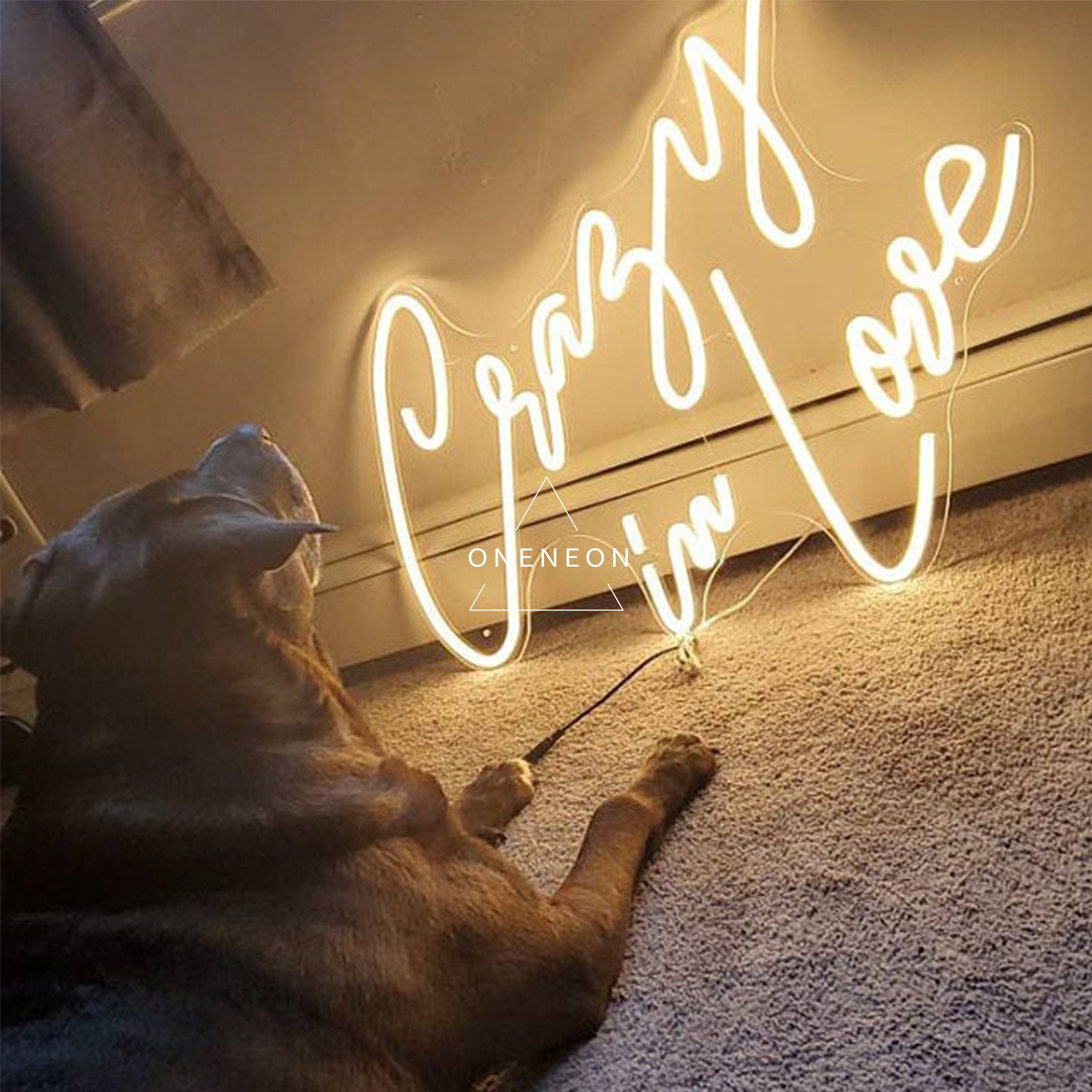 Crazy in Love LED Neon Sign perfect for weddings by Nuwave Neon