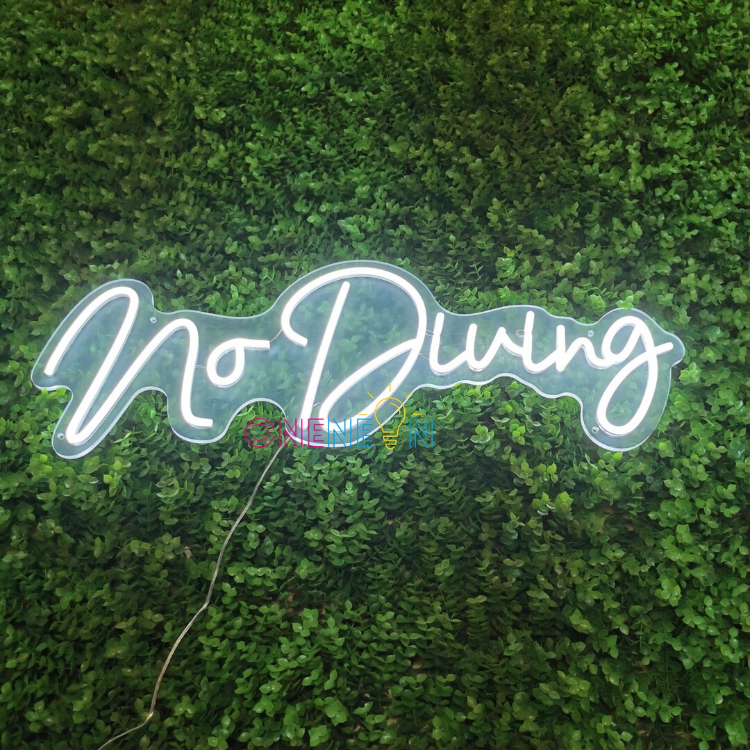 Custom Neon Sign No Diving Neon Sign Custom Party Neon Sign Acrylic