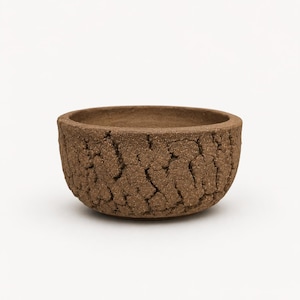 Handmade Ceramic Bonsai Pot with Drainage, Small Rustic Stoneware Planter for Shohin Bonsai, Succulents, Lithops & Caudex Plants
