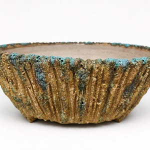Handmade Bonsai Pot | Organic Stoneware Planter | Unique Japanese Style Pot for Bonsai, Caudex, Cactus & Succulents