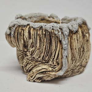Puede incluir: Maceta de cerámica hecha a mano con una apariencia texturizada similar a la madera en tonos marrones y beige. El borde está adornado con un diseño texturizado blanco en forma de espuma. Ideal para plantas pequeñas.