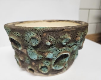 Handgefertigter Caudex-Pflanzkübel mit Drainage, rustikaler Topf für Adenium, Pachypodium, Kakteen, Sukkulenten und seltene Pflanzen