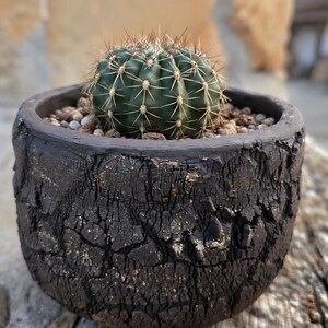 Handgemaakte keramische bonsaipot met drainagegaten, geglazuurde aardewerken plantenbak voor Lithops, Caudex, vetplanten en Shohin bonsai.