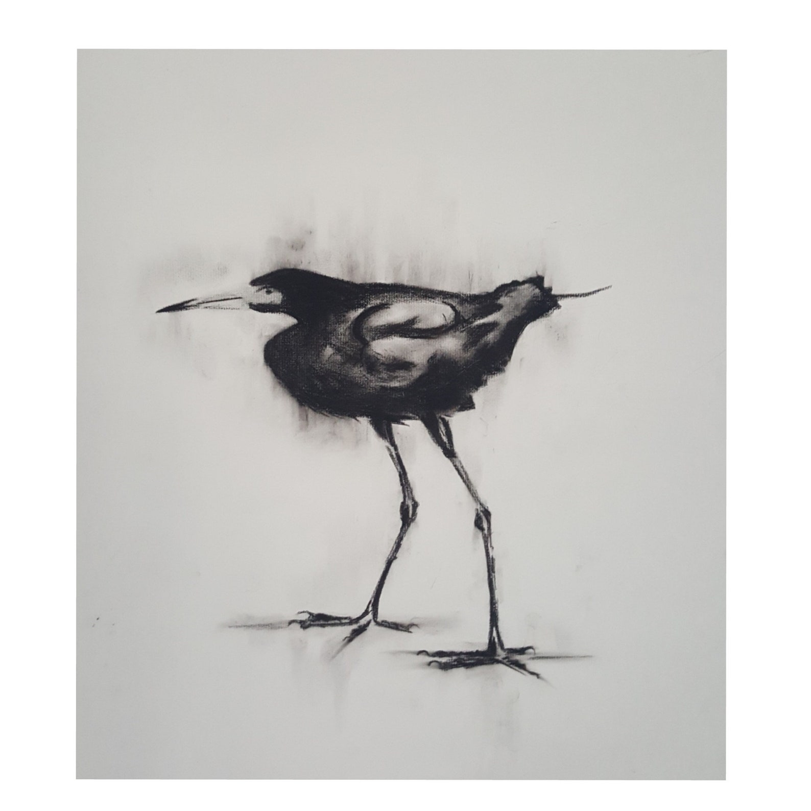 Digital download Charcoal painting of Bird Etsy