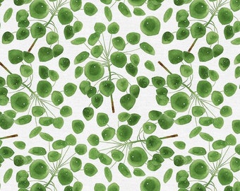 Modern  Botanicals Green Pilea