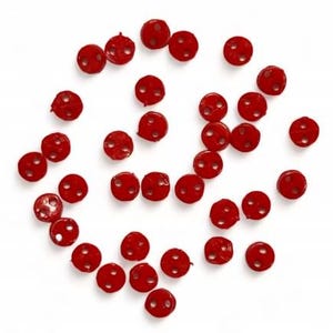 May include: A collection of red plastic buttons with two holes each. The buttons are scattered on a white background.