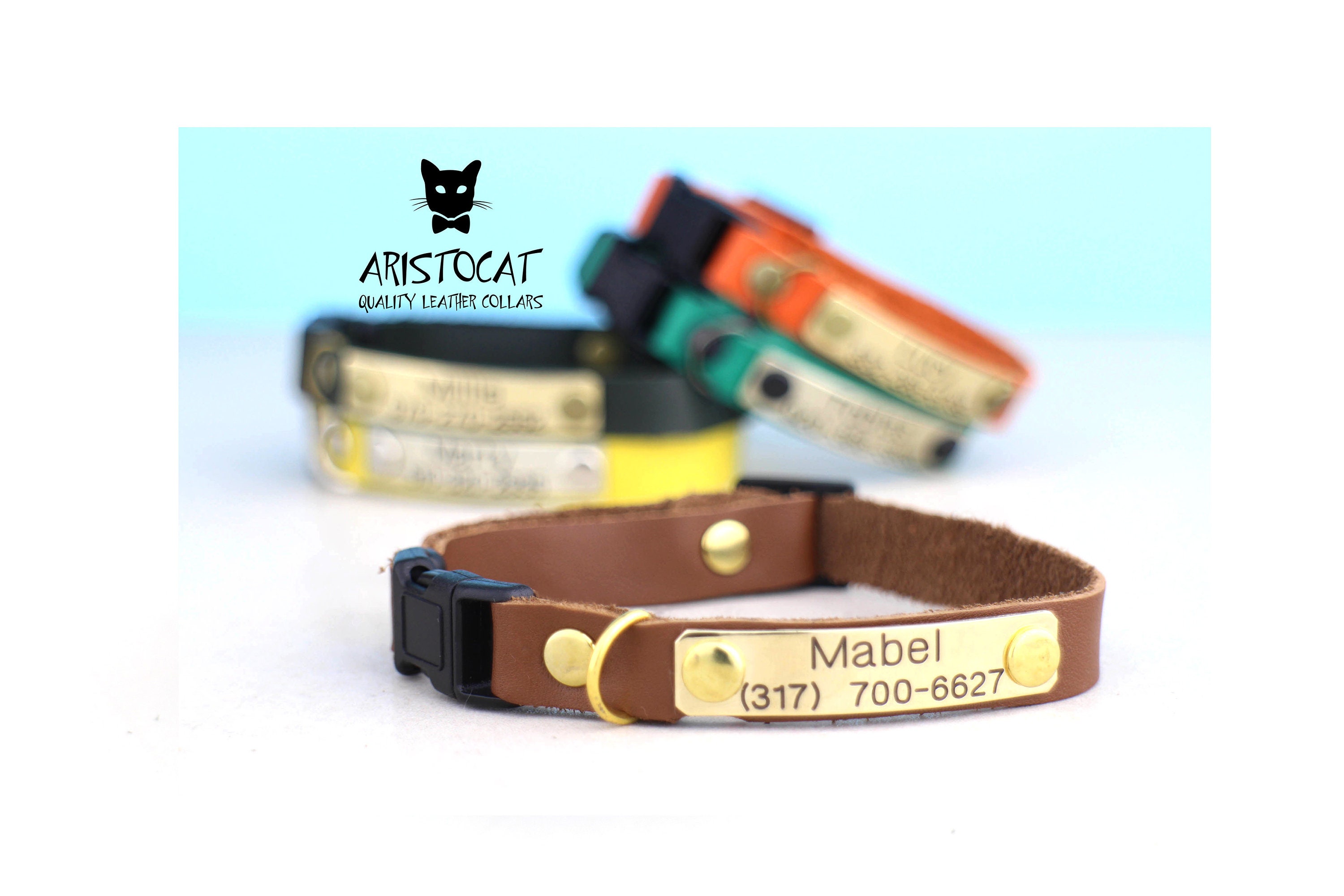 Cat collars with names on them discount