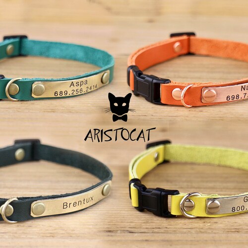 cat collar with nameplate