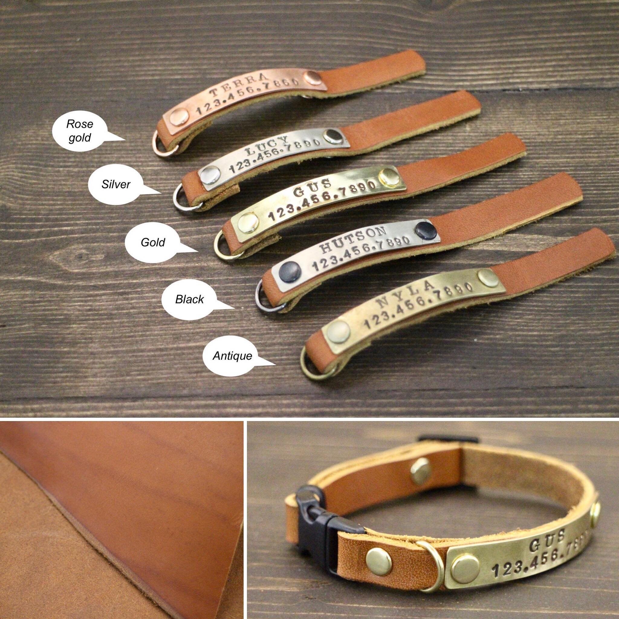 cat breakaway collar cat breakaway collar