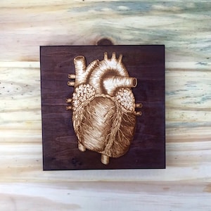 Anatomical heart wall hanging - anterior view of the heart art - human anatomy home decor - external heart drawing - medical art