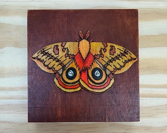 Io moth wall hanging - small wood hand made wall hanging