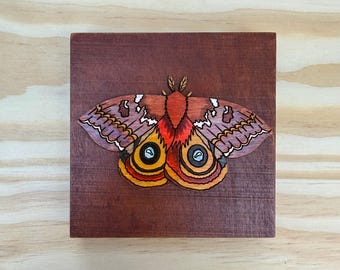 Io moth wall hanging - small wood hand made wall hanging