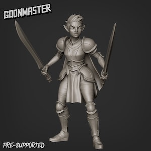 Set de miniaturas de Sky Elf Warrior / Sky Elves / Goon Master Games