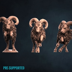May include: Three 3D printed miniature models of a ram, each in a different pose. The rams are brown and have detailed horns and fur. The models are pre-supported and ready to be printed.