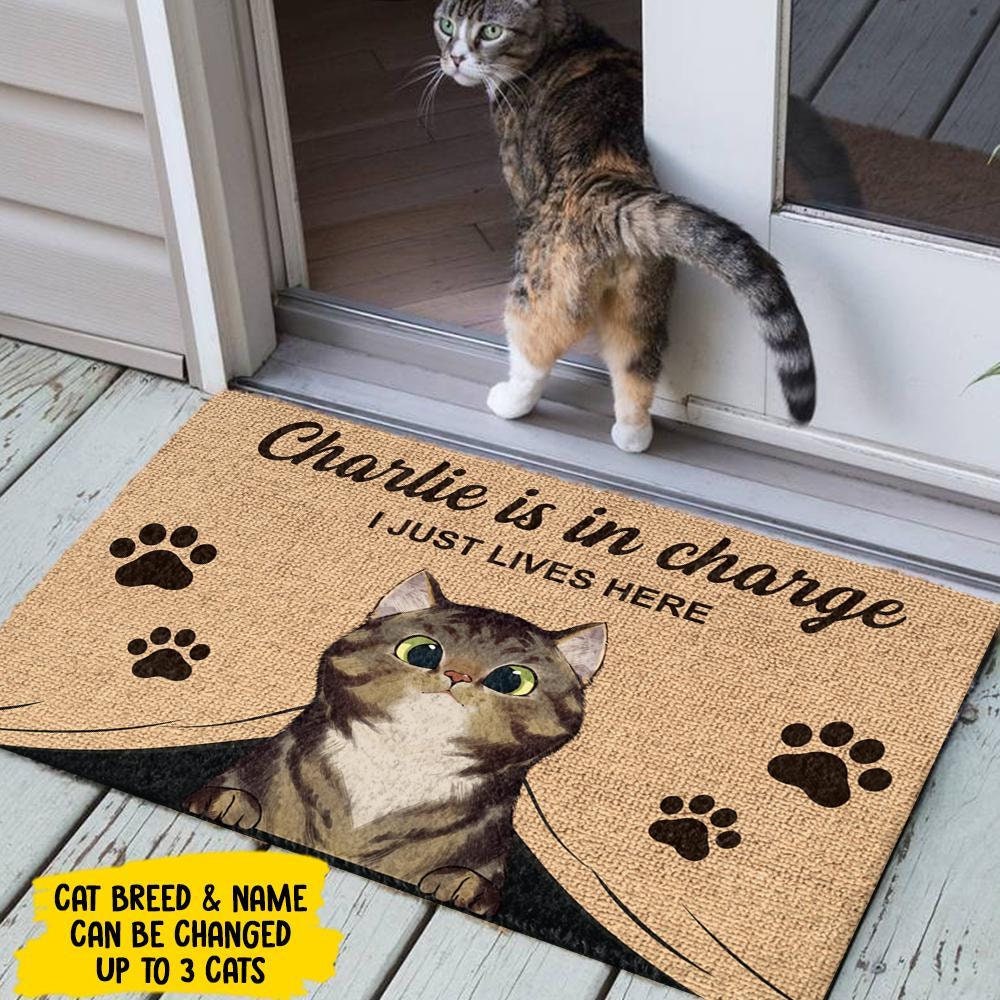 front door mat etsy