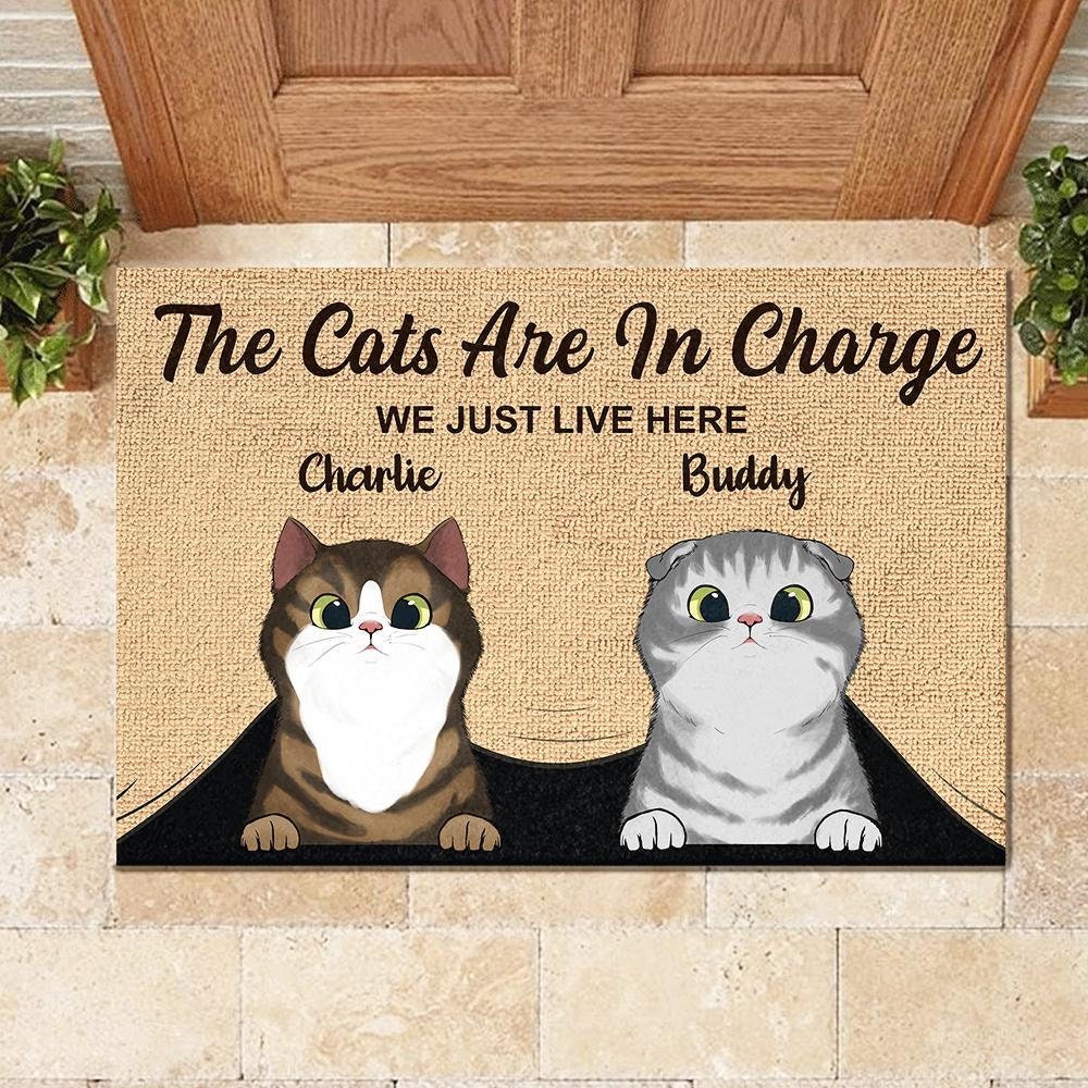Cat Doormat/ Custom cat doormat/ Outdoor rug/ Cute Door Mat/ Etsy