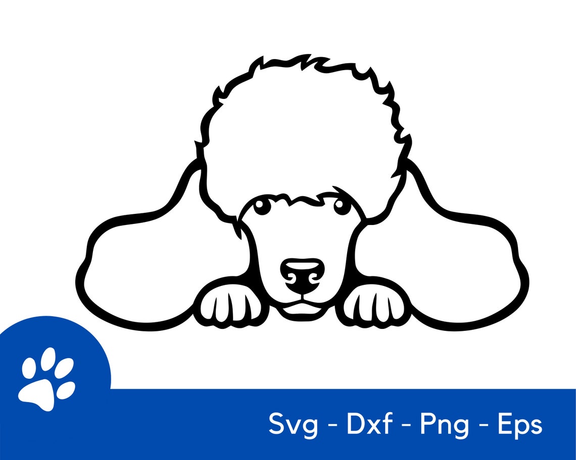 Peeking Poodle Dog Funny SVG Cutting Files eps dxf png Cricut | Etsy