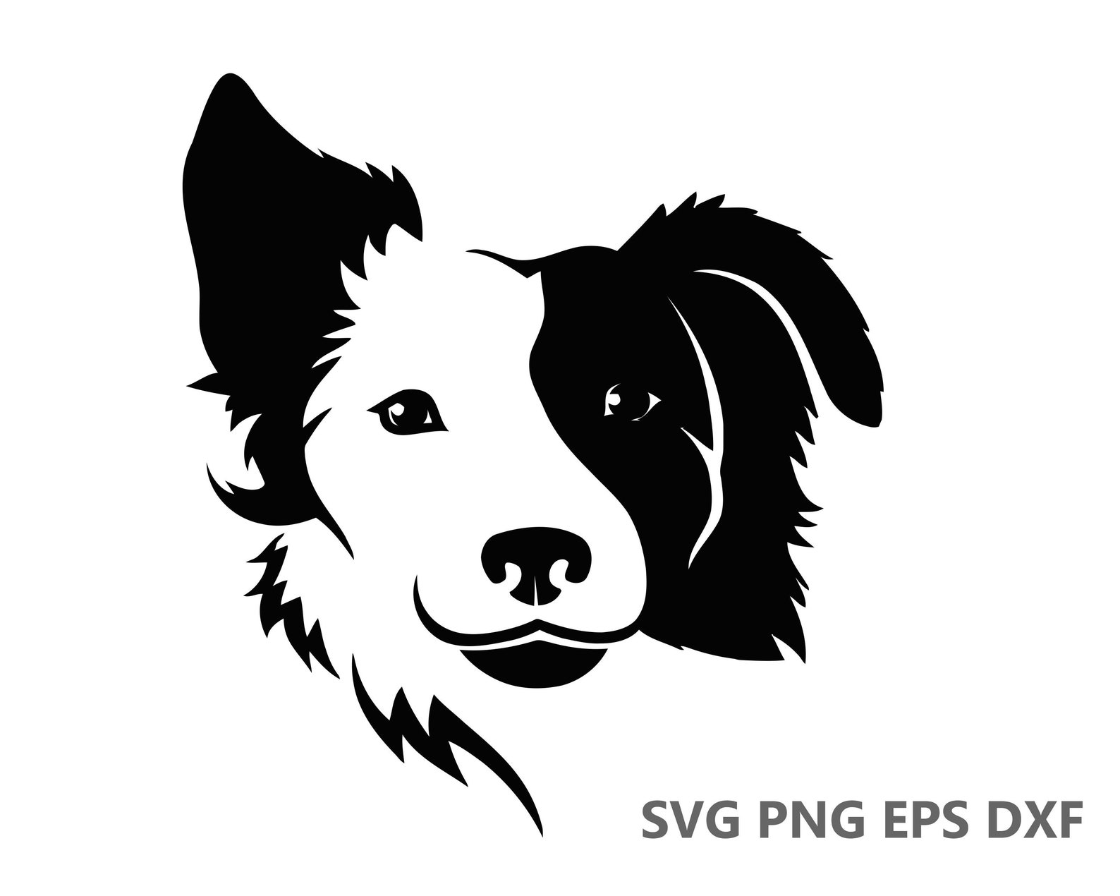Border Collie Dog SVG Cutting Files eps dxf png Cricut | Etsy