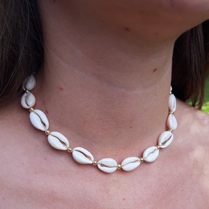 Può includere: Una collana di conchiglie bianche con dettagli dorati. La collana è composta da piccole conchiglie ovali infilate su una catena dorata.