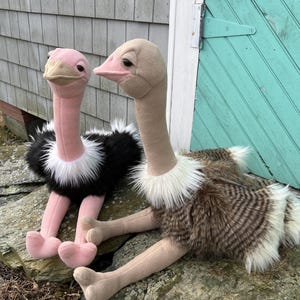 May include: Two plush ostrich toys. One has a pink head and neck, black and white feathered body, and pink legs. The other has a tan head and neck, brown and white feathered body, and tan legs. They are sitting on a rock.