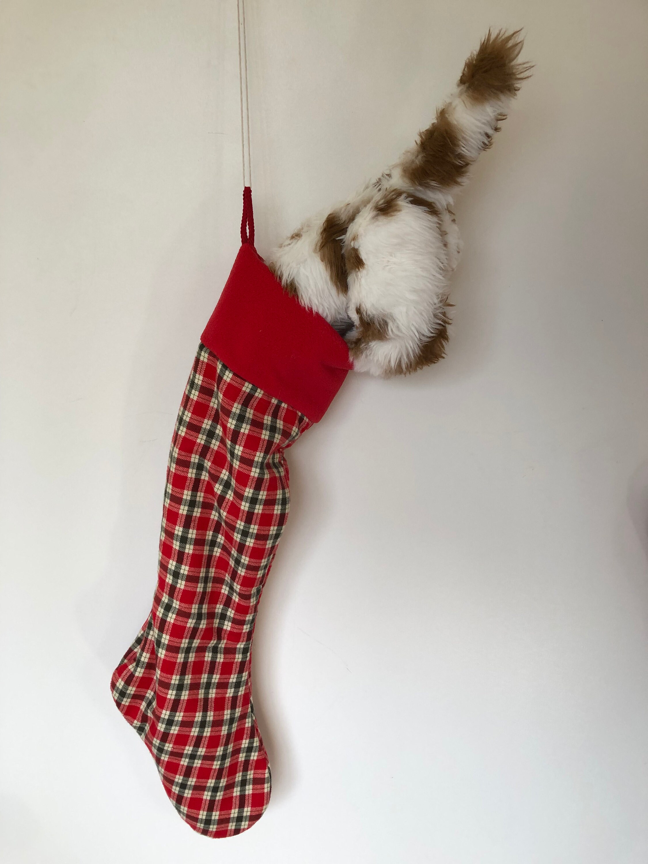 Curious Puppy Christmas Stocking PDF Sewing Pattern - Etsy