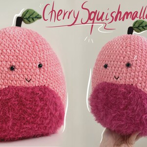 Crochet Cherry Squishmallow Pattern: Beginner Friendly (Digital Download)