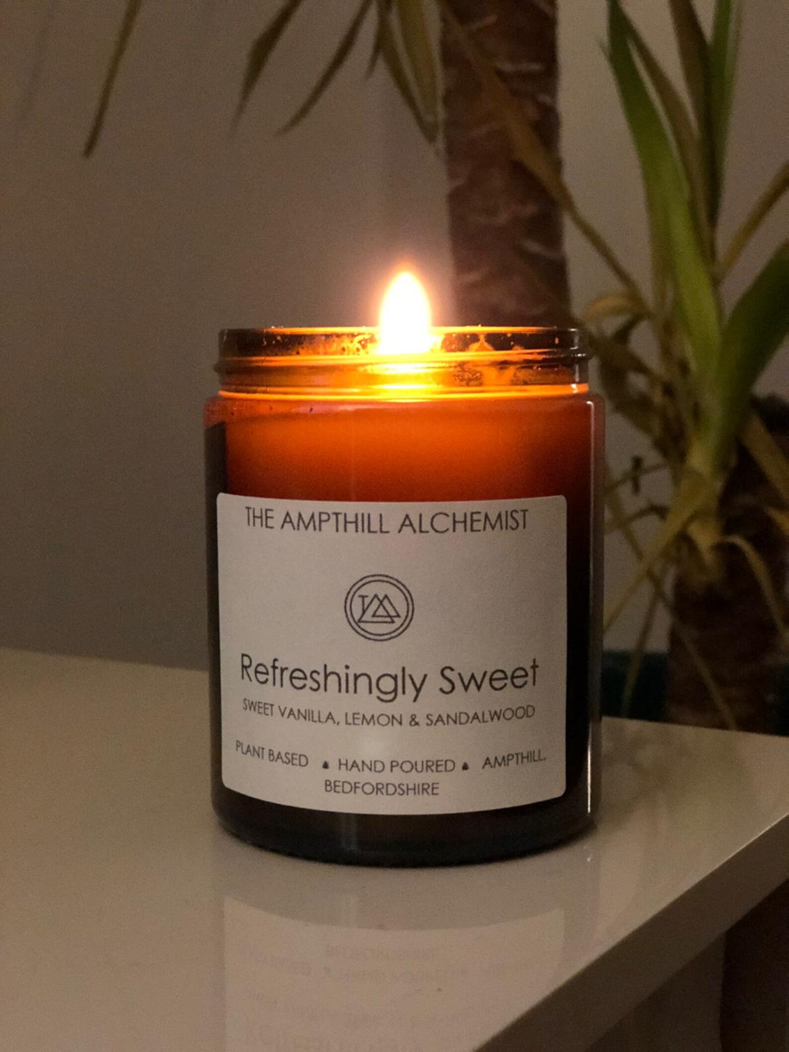 Sweet Candle Collection Etsy