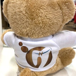 Peluche ourson avec Tee-shirt personnalisable. Peluche photo et texte image 9