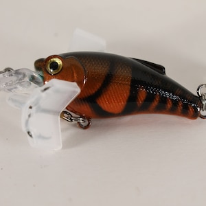 Custom 1.5 Crankbait, Brown and Orange Colored Crawfish. Dives 3-6