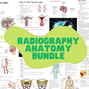 Radiography Concise Revision Study Notes Bundle - Anatomy