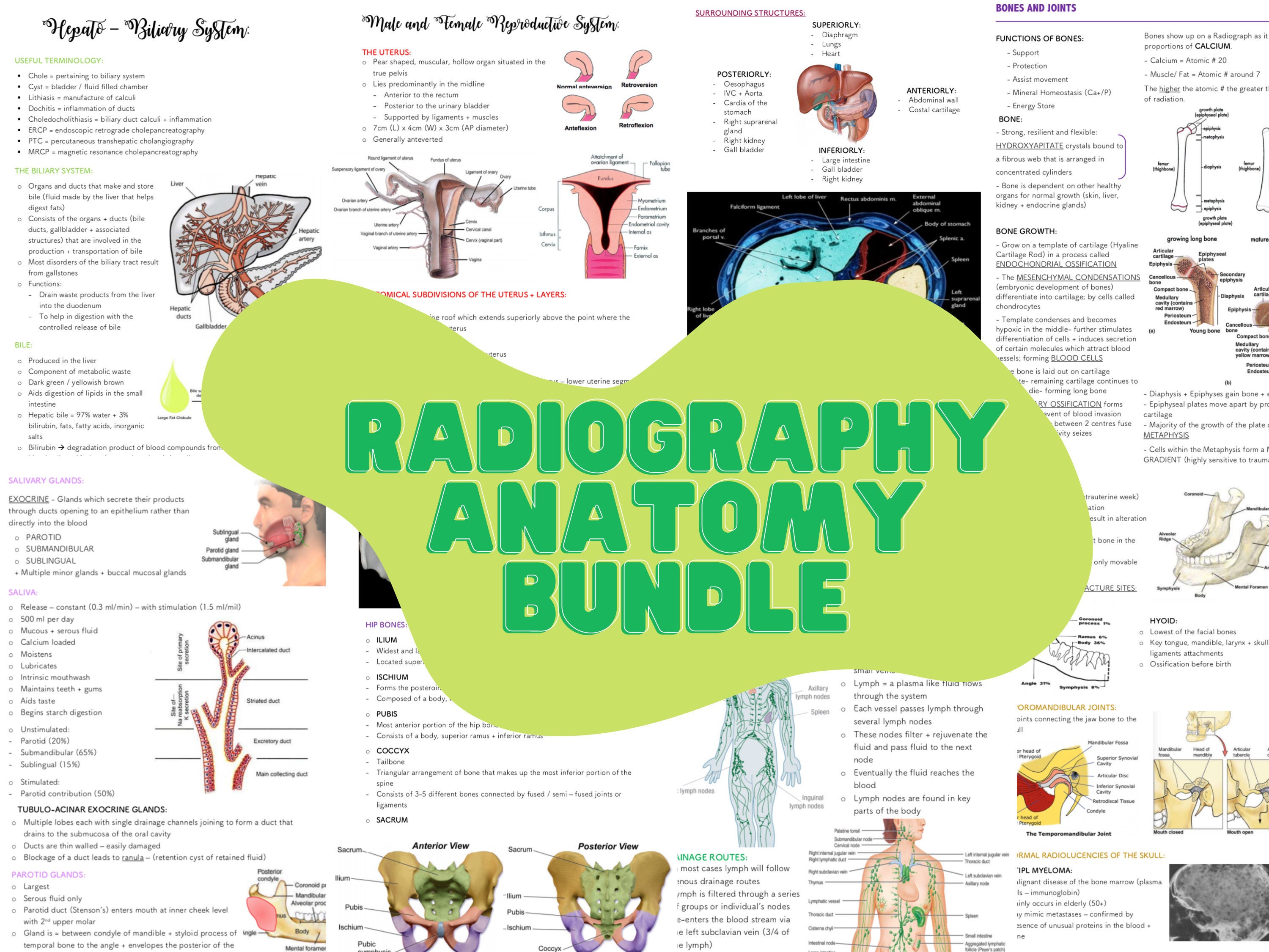 Radiography Concise Revision Notes Bundle Anatomy Etsy