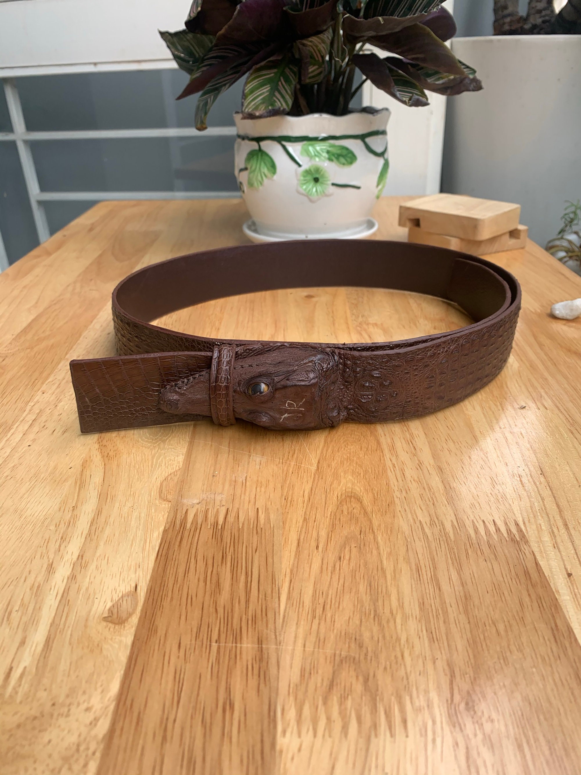 Brown Genuine WHOLE alligator skin belt men strap width 4cm | Etsy