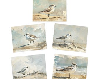 Shorebird Watercolor Art Greeting Cards 5-Pack | Coastal Bird Illustration Cards