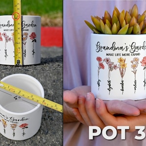 May include: White ceramic plant pot with the text "Grandma's Garden" and floral illustrations. The pot is approximately 4 inches in diameter and 4 inches tall. The pot is filled with a succulent plant.