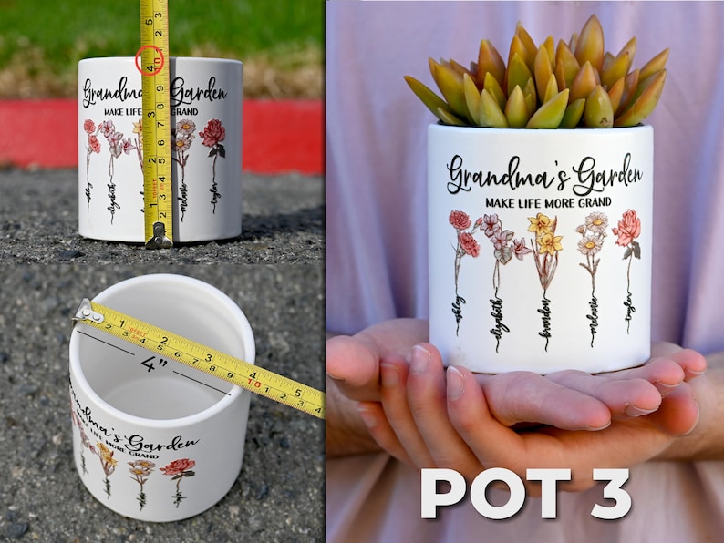 May include: White ceramic plant pot with the text "Grandma's Garden" and floral illustrations. The pot is approximately 4 inches in diameter and 4 inches tall. The pot is filled with a succulent plant.