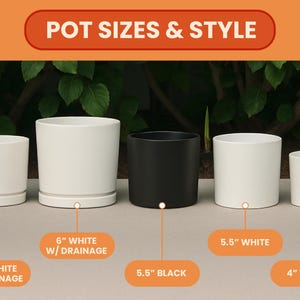 May include: An assortment of cylindrical ceramic pots in white and black, ranging in size from 4 inches to 6 inches. The image includes the text "POT SIZES & STYLE" and labels indicating pot dimensions and features like drainage.